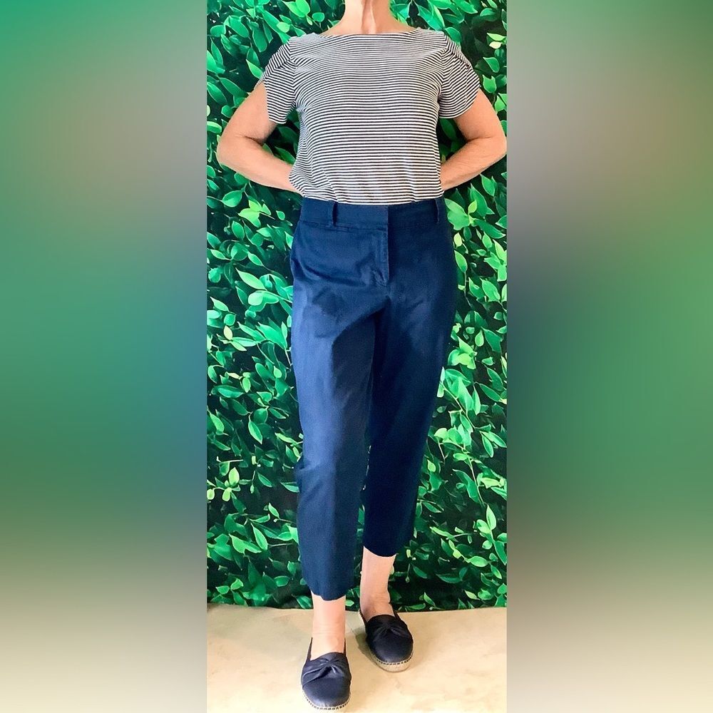Ann Taylor Navy Blue Signature Capris Size 8 Women's Casual